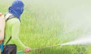 Government ban on dangerous pesticide, no sale in Rewa, will be action