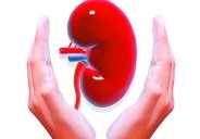 Kidney Health