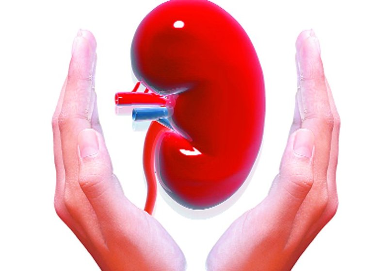 Kidney Health