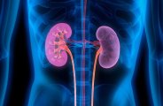 Kidney Awareness Week