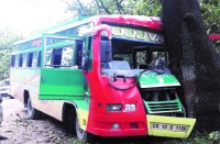 यात्री बस के पेड़ से टकराते ही मची अफरा-तफरी, एक दर्जन से अधिक यात्री घायल