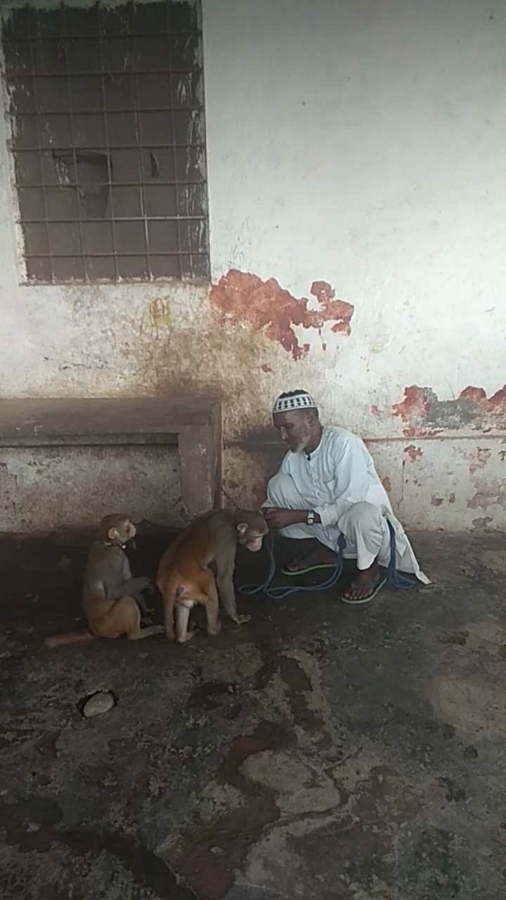 यहां मदारी दिखा रहा था तमाशा , अचानक पहुंची रेस्क्यू टीम और किया ये काम.. देखें वीडियो