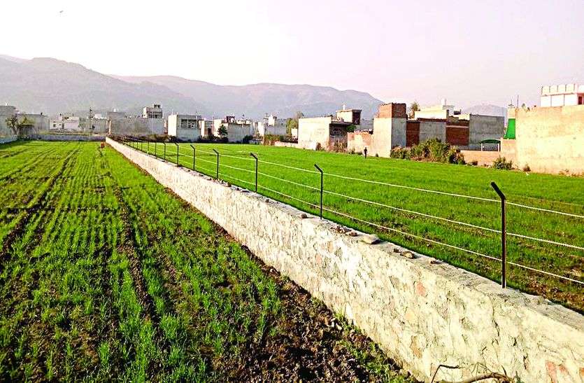 Illegal Colonies At Prem Ratnakar Dam Alwar