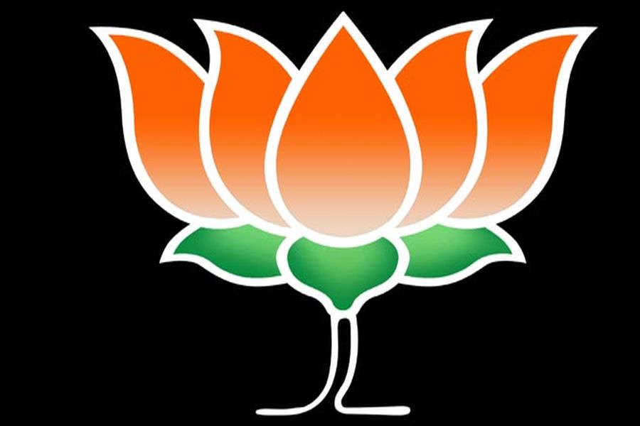 BJP expels Uttar Pradesh Mahila Morcha chief Madhu Mishra - The Economic  Times