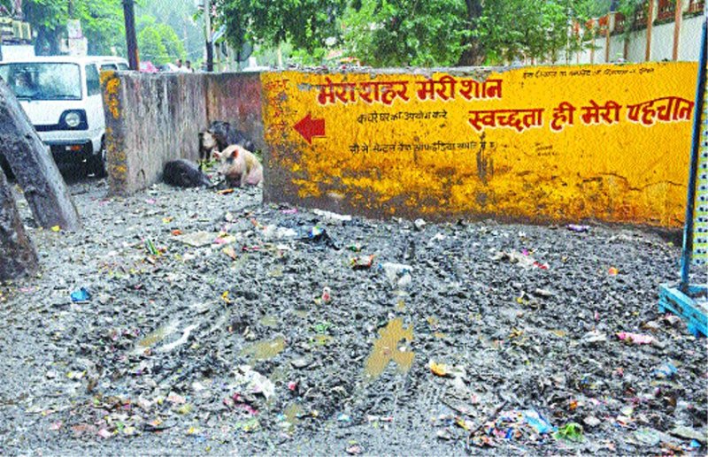 Slogan stink of civil lines cleanliness