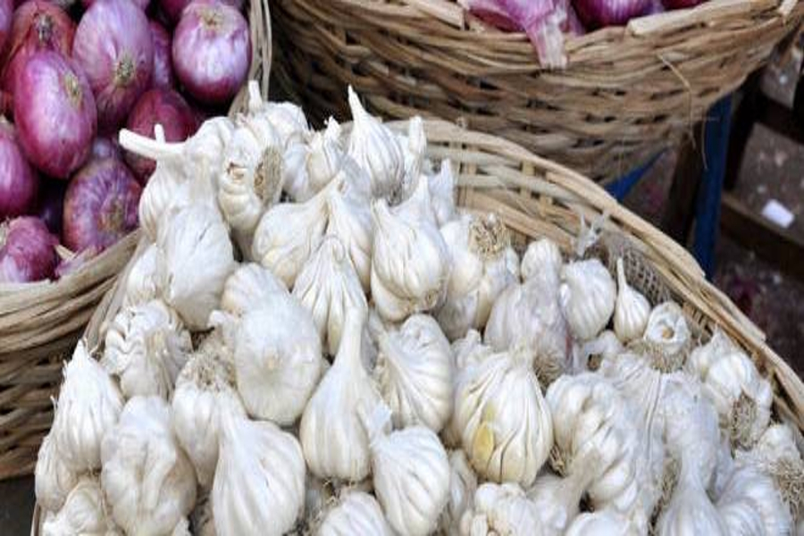 garlic mandi in jodhpur