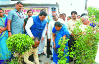 आदर्श गांव 