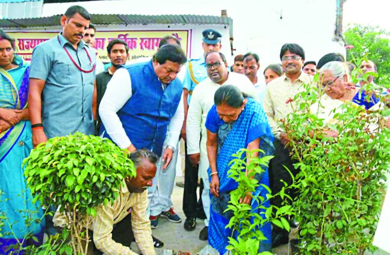 आदर्श गांव