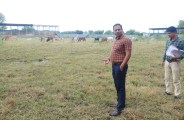 cmo at stadium
