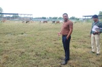 cmo at stadium