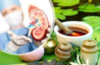 प्राकृतिक चिकित्सा से किडनी का इलाज