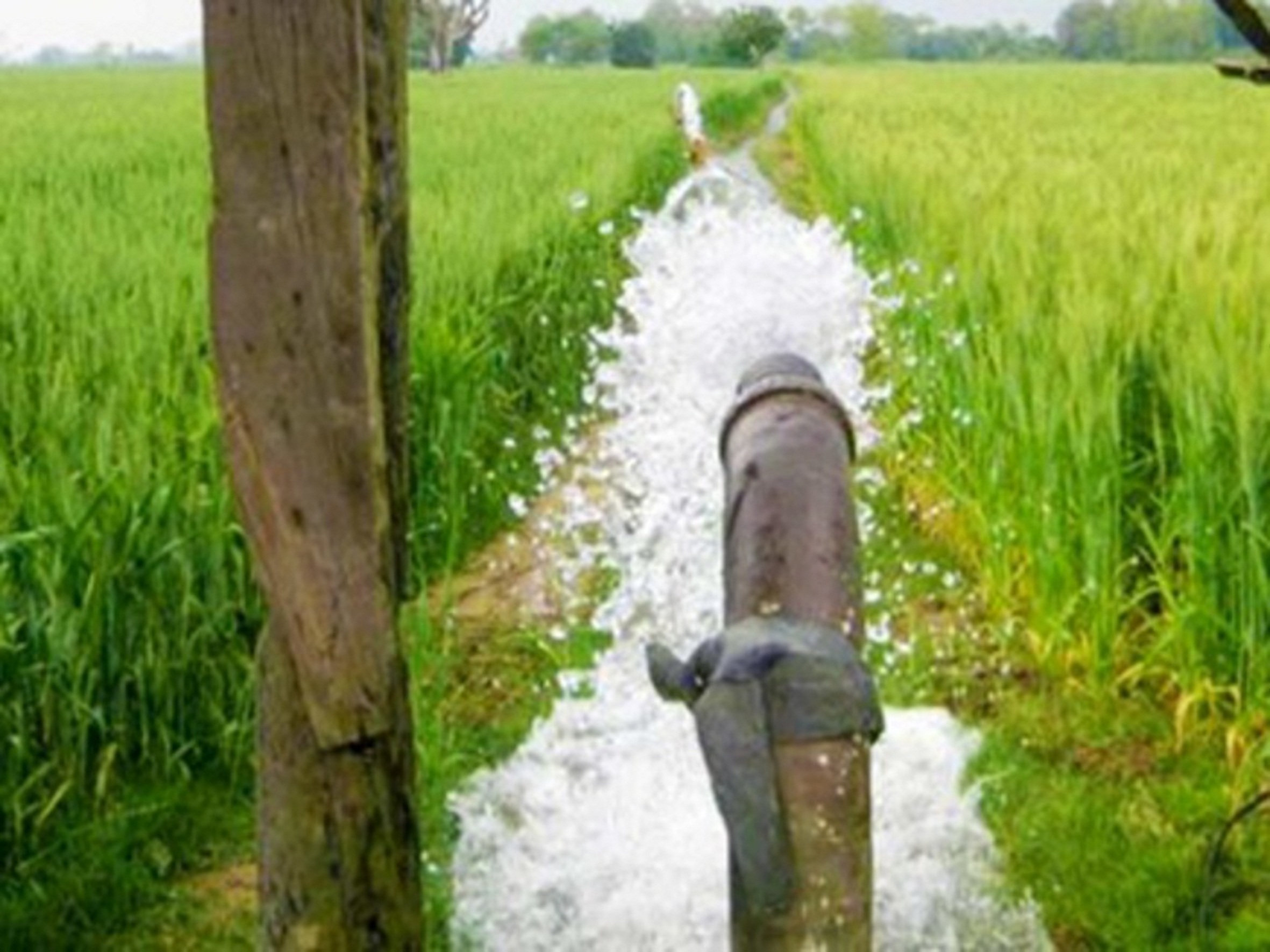 In 49 villages of Beauhari will be irrigation in the fields through pipeline