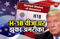 H-1B visa
