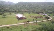 beautiful pics of nagar van udhyan