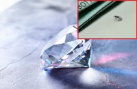 viral video of how an ant casually stealing diamond