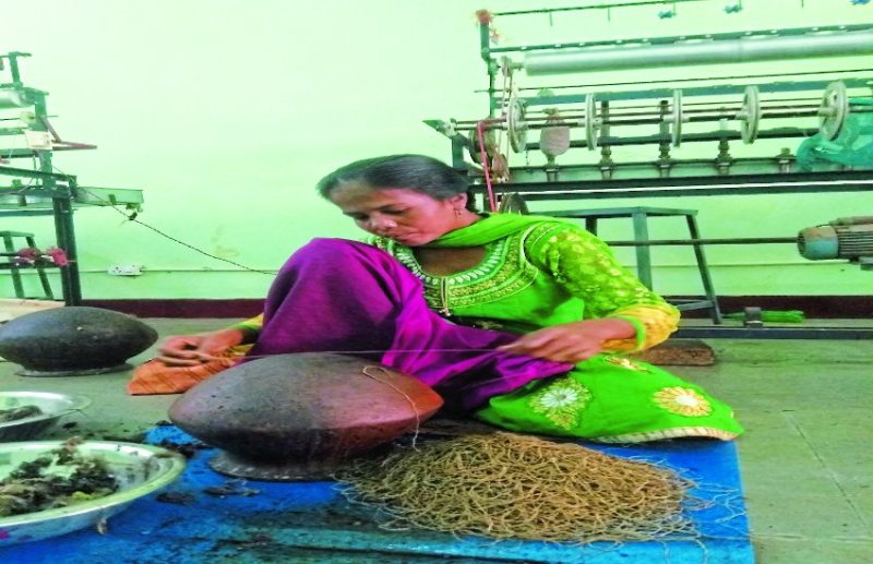 रैली कोसा की खासियत