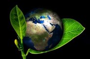 Pollution Control Board news in satna madhya pradesh
