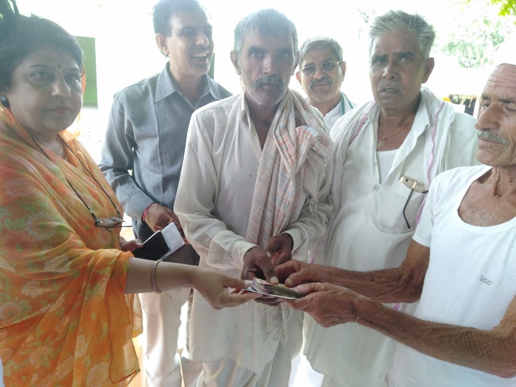 bandikui mla