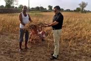Drought in 40 Villages of Bhopalgarh