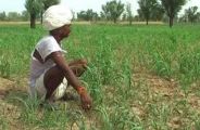 Compensation for loss of two lakh farmers of the district