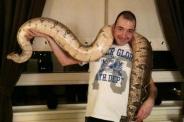 snake