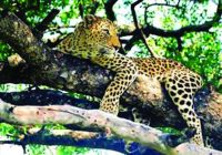 Rajsamand news,Rajsamand Hindi news,Rajsamand local news,rajsamand latest news,