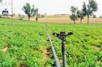 Gujrati firms buoght 12 farms in bBhilwara