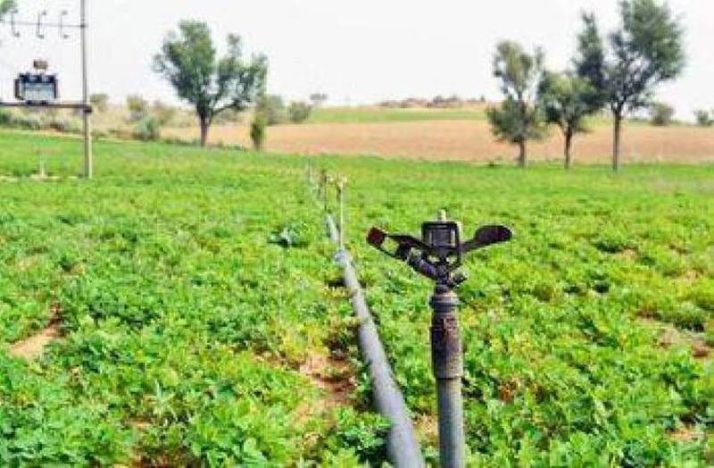 Gujrati firms buoght 12 farms in bBhilwara