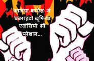 MP politics