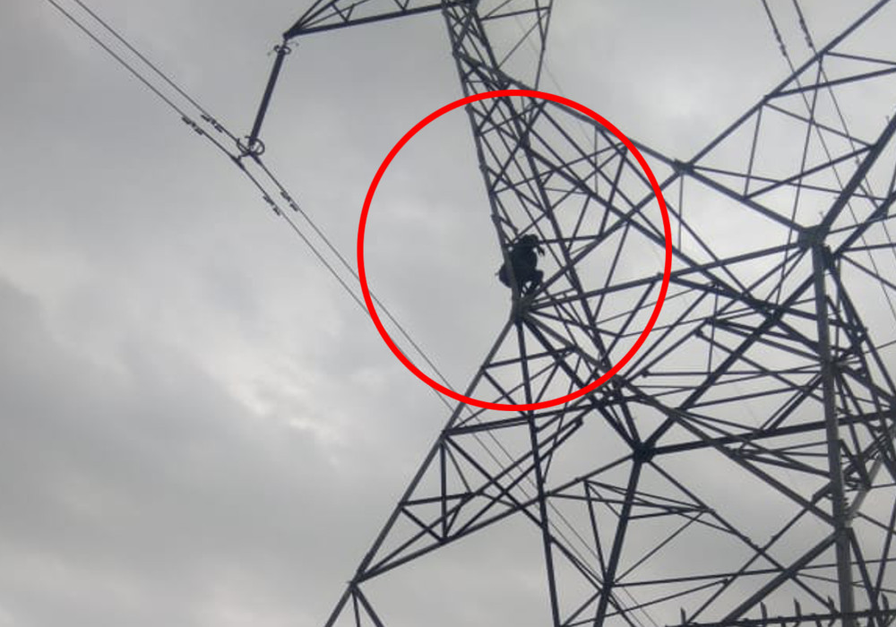 Man climb on High Tension electricity pillar etawah news