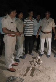 skeleton found