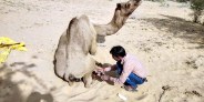 jaisalmer