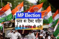 MP Election