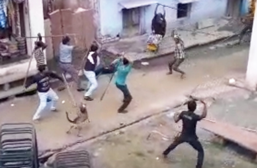 fight
