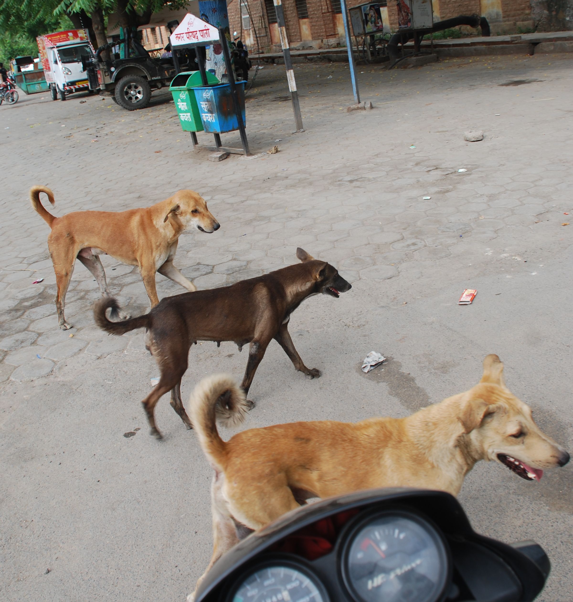 Take care not to be on the streets of the city