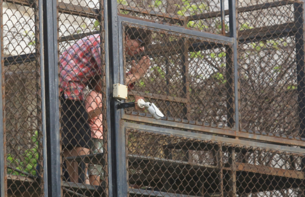 शाहरुख ने ऐसे मनाया दही-हांडी का त्यौहर, बेटे अबराम के साथ फोड़ी मटकी