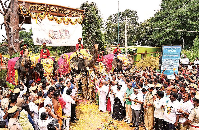 दशहरा महोत्सव : मैसूरु पहुंचा हाथियों का पहला जत्था