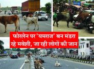 Rajsamand,Rajsamand news,Rajsamand Hindi news,rajsamand latest news,rajsamand latest hindi news,Latest News rajsamand,Latest hindi news rajsamand,