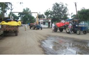 mandi