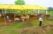 Bemetara Patrika