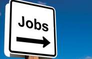 Govt Job Portal
