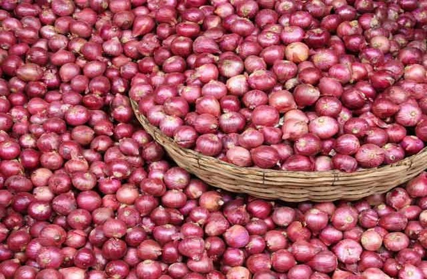 Famous Onion Of Alwar Exports In Many Countries