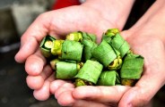 betel nuts benifits