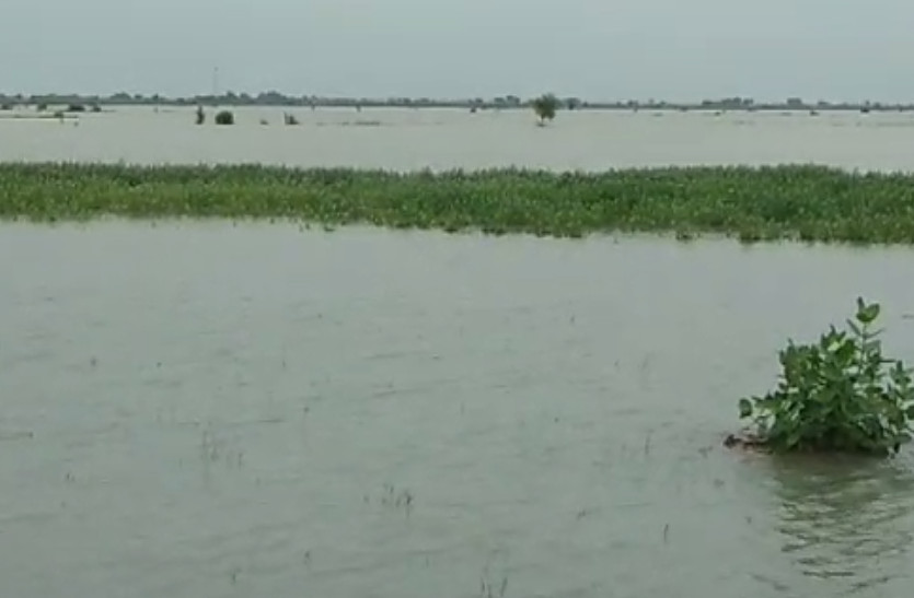 rain stops after 36 hours in Sawai Madhopur, lives still not on track
