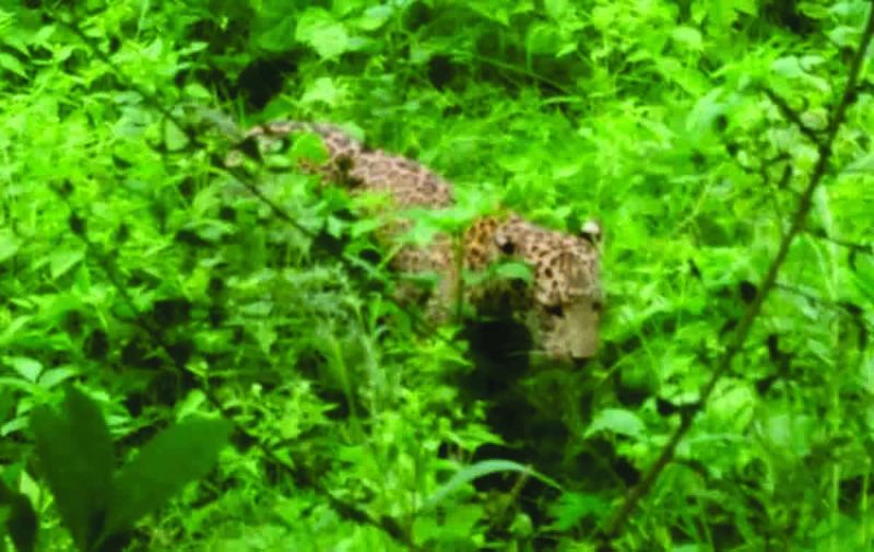 Rajsamand Hindi news,Rajsamand local news,rajsamand latest news,