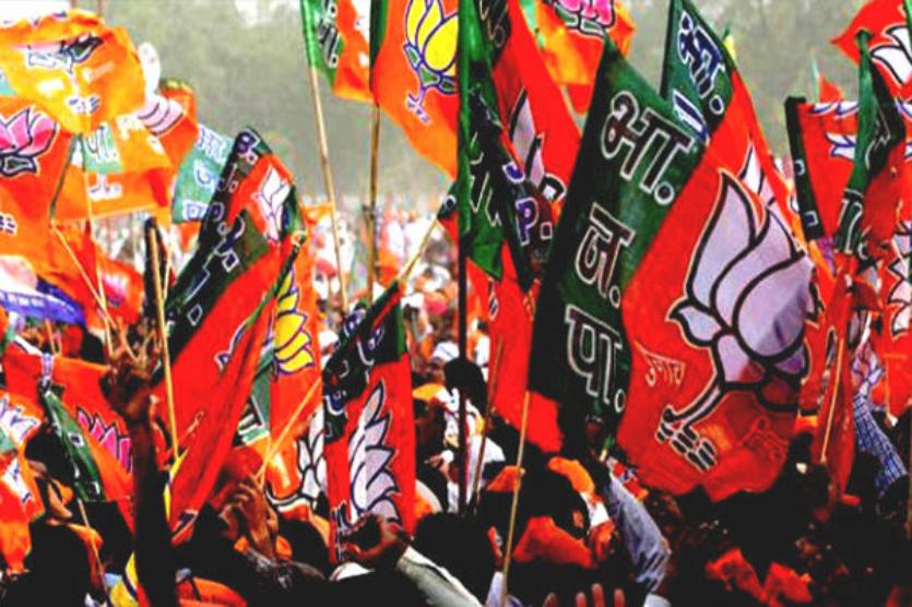 bjp flag