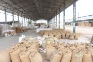 Grain Market