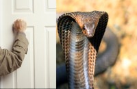 woman died 40 years before came back to home