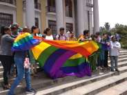 section 377