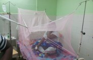 dengue probable patient